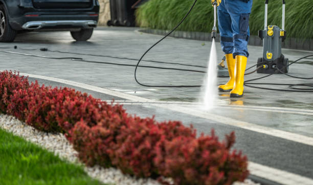Best Soft Washing  in Madison, NE